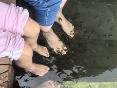 -三亚亚龙湾人间天堂鸟巢度假村