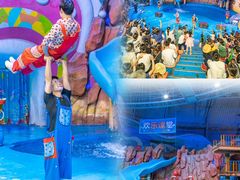 -烟台海昌鲸鲨海洋公园