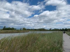 -野鸭湖国家湿地公园