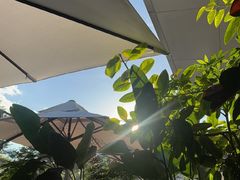 -gaga(深圳南山益田假日广场店)