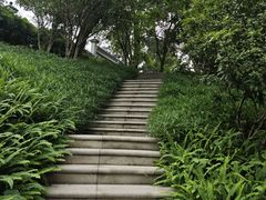 -广州七星岗古海岸遗址科学公园