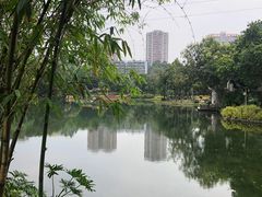 -晓港公园