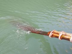 -楠溪江风景名胜区