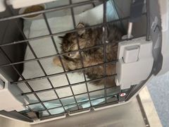 -天津前进宠物医院(前进道店)