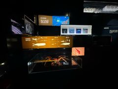 -同济大学四平路校区深海探索馆