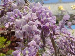 -南京市规划建设展览馆