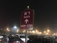 -迪士尼乐园停车场