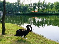 -相门城墙文化休闲景区