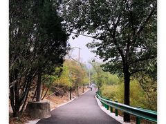 -白水寺森林公园