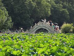 -莲池书院博物馆