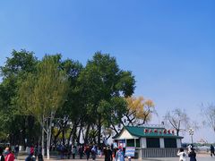 -人民防洪胜利纪念塔