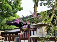 -枫桥景区