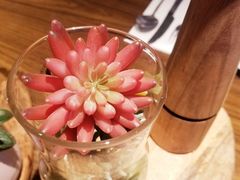 -必胜客(八一店)
