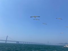 -星海广场