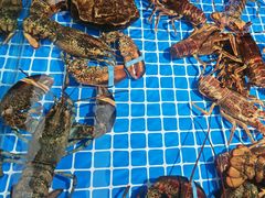 -渔港甄宴·海鲜·地标烟台菜(金沙滩店)