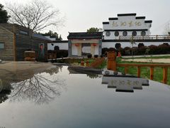 阳春三月的龙湖东院特色民宿农庄-龙湖东院农庄(乡间小路店)