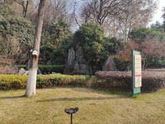 -菊花台公园