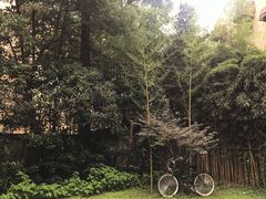-胶囊画廊