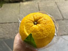 -老松(岚山店)