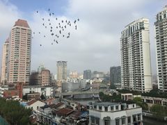 从阳台外面看到的风景-上海蓝峰酒店