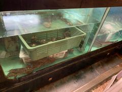 -金海阁海鲜火锅