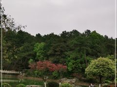 -铁山坪森林公园