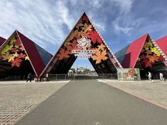 -五角枫生态旅游景区