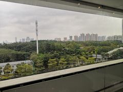 -百年果林椰子鸡(中洲店)