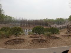 -东郊湿地公园