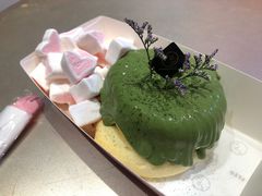 抹茶梳乎厘-狐狸和向日葵(北京路店)
