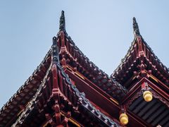 -绿波廊(豫园店)