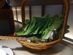 -佬肥猫(国华广场店)