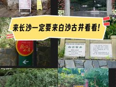 -白沙古井