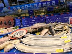 -鱼满舱·鲜活海鲜·正宗鲁菜