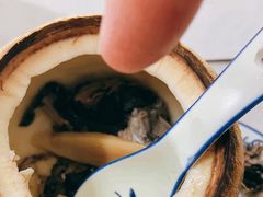 -達揚原味燉品(文明路店)