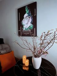 -花隐·美芙炫海菲秀皮肤管理中心