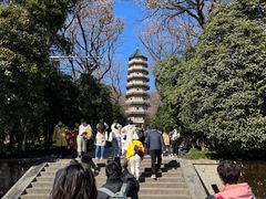 -灵谷景区