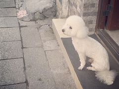 -山塘街