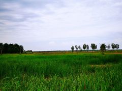 -黄沙古渡原生态旅游区