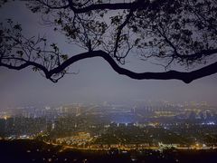 -惠山国家森林公园