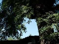 -北京鲁迅博物馆（北京新文化运动纪念馆）鲁博馆区