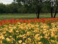 -汉长安城未央宫国家考古遗址公园