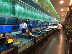 水产区-万宝海鲜舫(劳动公园店)