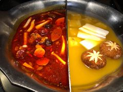 台式麻辣花胶鸡鸳鸯锅-湊湊火锅·茶憩(世博大道店)