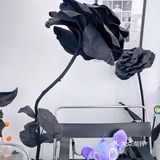 这家咖啡店万圣节气息拉满～