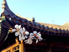 -华为合作店(金陵西路)