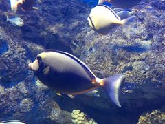 -福州罗源湾海洋世界旅游区