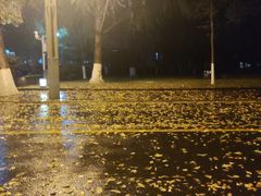 -四川大学(华西校区)