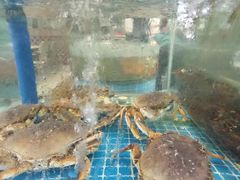 -锦里海景海鲜餐厅.三亚老字号(亚龙湾中心广场店)