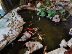 -道南書院·私房菜·早午茶·茶馆